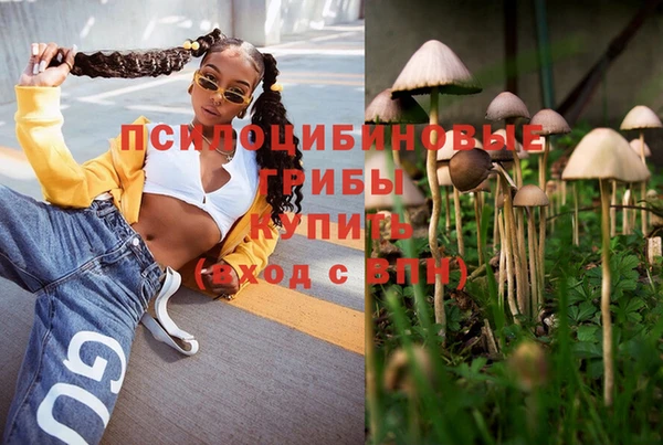 марки lsd Козловка
