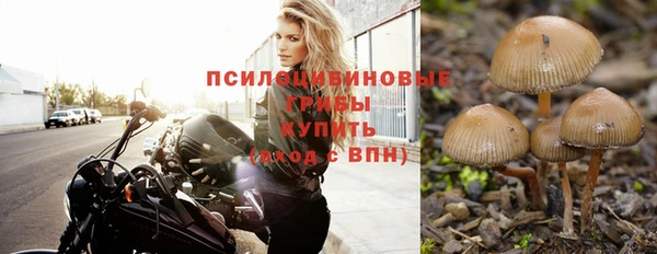 мескалин Кодинск